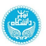 دانشگاه تهران